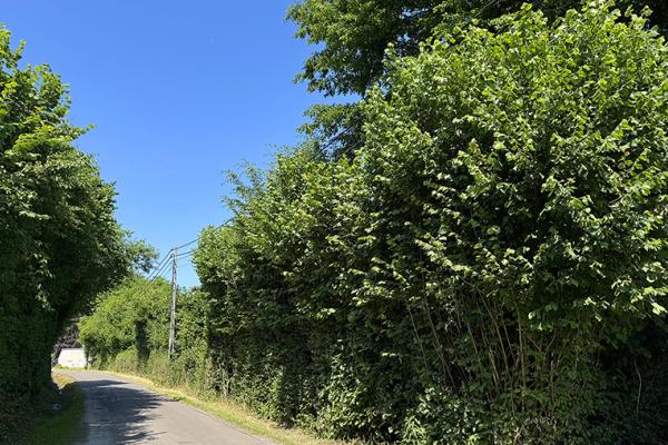 Masbourg (Nassogne)
